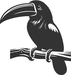 Obraz premium Vector bird toucan black drawing silhouette