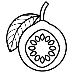 pear fruit vector illustration