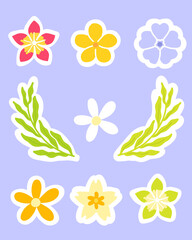 Set flowers stickers element of summer season vector illustration for printable or wrapping. Cute hand drawn seamless pastel stickers flowers icon