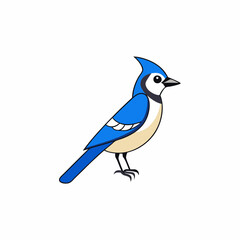 blue bird isolated on white background