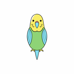 funny parrot on white background