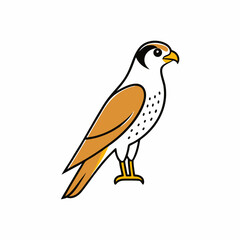 bird of prey