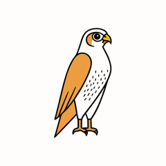 bird of prey