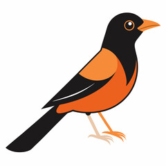 vector illustration of a bird