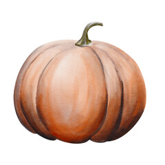  Big orange round pumpkin. Autumn harvest. Ripe vegetable. Homemade natural products. Halloween decor. Harvest festival. Watercolor illustration. Hand drawing.
