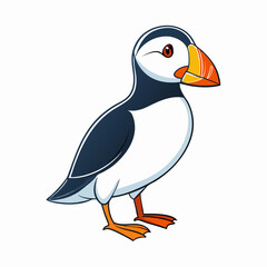 illustration of a cartoon penguin
