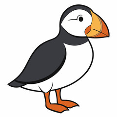 bird, cartoon, animal, illustration, vector, nature, funny, character, icon, beak, cute, fun, wing, chicken, feather, duck, wildlife, drawing, penguin, baby, art, twitter, happy, robin, design