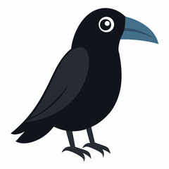 crow on a white background