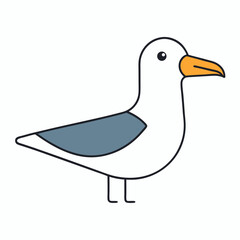 white duck on white background