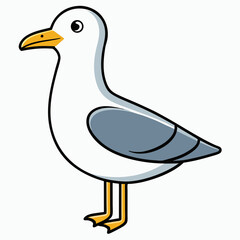 illustration of a white duck