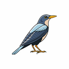 blue bird isolated on white background