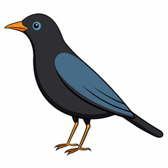 vector illustration of a bird