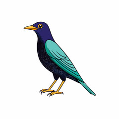 blue bird isolated on white background