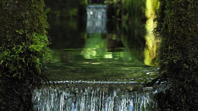 森の中の貯水池 5倍スローモーション