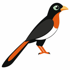 vector illustration of a bird