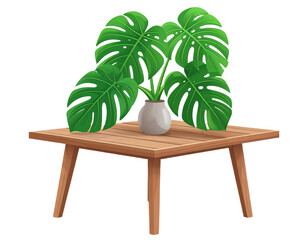 Modern Minimalist Tabletop Still Life Monstera Plant in Vase
