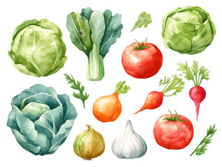 Vibrant Watercolor Vegetables Collection Bok Choy Cabbage Tomatoes Radishes Onions Garlic Farm Fresh Organic Produce Healthy Food Illustration Natural Ingredients Cooking Recipe Design      