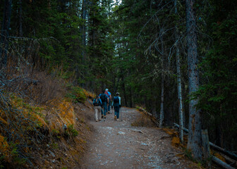 Obraz premium A tranquil and peaceful scene depicting hikers making their way along a forest trail, embraced by tall trees