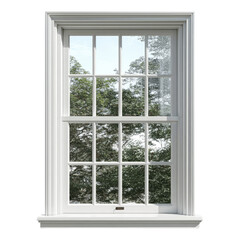 White Double Hung Window with View of Lush Green