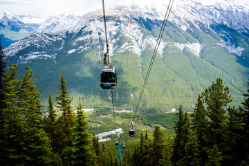 Several gondolas climb a green forested slope in Banff © Viks