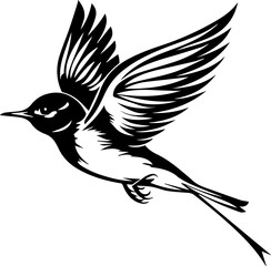 Swiftlet Bird Vector Illustration, Minimalist Black and White Flying Bird Icon
