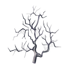 Scary tree with cobweb. creepy forest,Dried branches of a plant, Halloween decor. Gothic dead plant. Watercolor illustration isolated from background. Hand drawn.