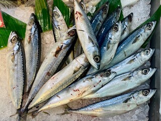 Fresh fish on ice display in the supermarket