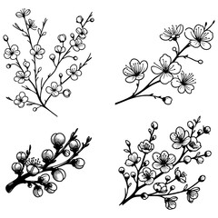 Flowers on Branch Sketch Drawing.