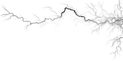 Fototapeta premium Branching network in black and white style