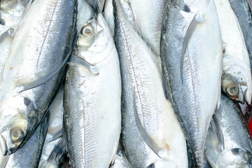 Obraz premium fresh fish on the market