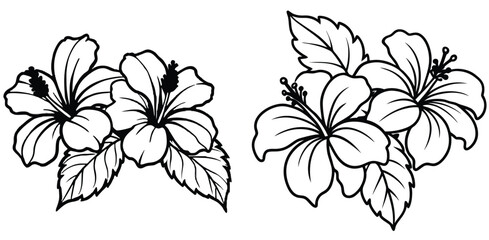 And white hibiscus flowers vector illustration tropical floral design outlines exotic flora line art elements