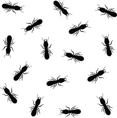 A group of termites with their queen fills the screen on a white background