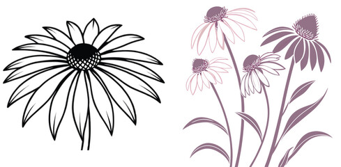 Stylized echinacea flowers illustration with and white outline and purple toned floral arrangement artwork