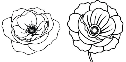 Two simple flower illustrations outlines on white background floral elements for botanical design projects artistic style