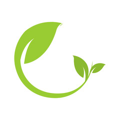 Leaf Vector Logo