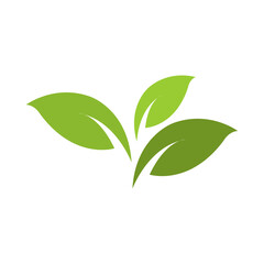 Leaf Vector Logo