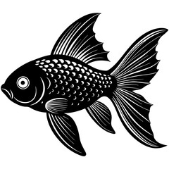 fish on a white background