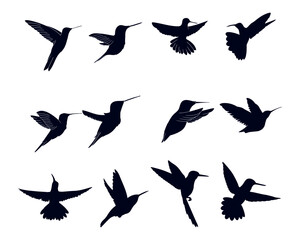 Humming bird Silhouette vector illustration