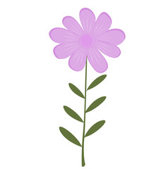 Cute Flowers minimal 