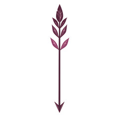 Contemporary Arrow with Clear Vector Lines in Rich Isolated on Transparent Background