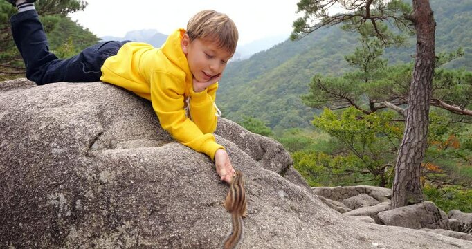 Cheerful young boy in yellow hoodie gently feeds peanut to curious chipmunk while resting on rocky surface in picturesque mountainous forest. Slow motion shot of cute and funny moment.