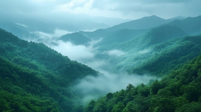 Misty mountain range with lush, green trees and fog - Powered by Adobe