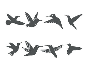 Humming bird Silhouette vector illustration