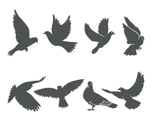 Pigeon silhouette, flying dove silhouette vector
