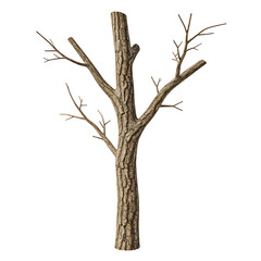 Fototapeta premium Bare tree with amputated branches stands starkly