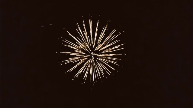 Bright fireworks illuminate night animated overlay, transparent 4K video, alpha channel, ProRes 4444