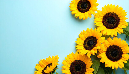 父の日。ひまわりと水色の背景。Father's Day. Light blue background with sunflowers.