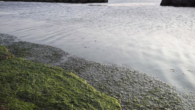 Gentle Waves and Breakwater on a Quiet Morning in Wakkanai