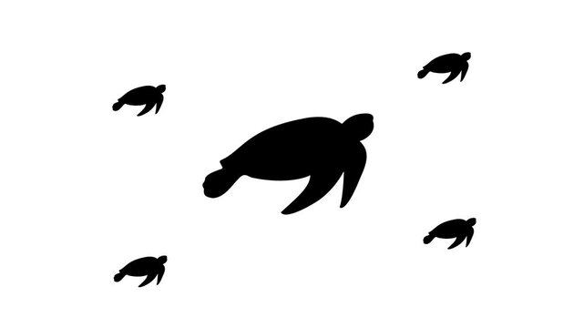 Zoom in and out animation the sea turtle symbol. Large black symbol in the center and four small symbols around. Seamless looped 4k animation on white background