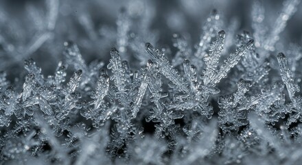 Macro Photo of Delicate Crystal Ice Formations on a Textured White Surface